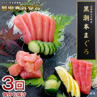 訳あり 不定貫 3回お届け 国産 黒潮本マグロ 3種堪能セット 中トロ 赤身 ぶつ切り