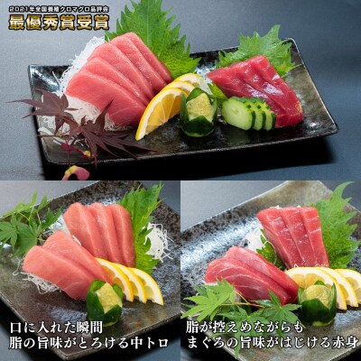 【3回お届け】黒潮本マグロ 3種堪能セット