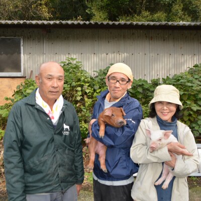 【定期便】高知県大月町産 力豚細切れ 月2回 6パック × 3カ月