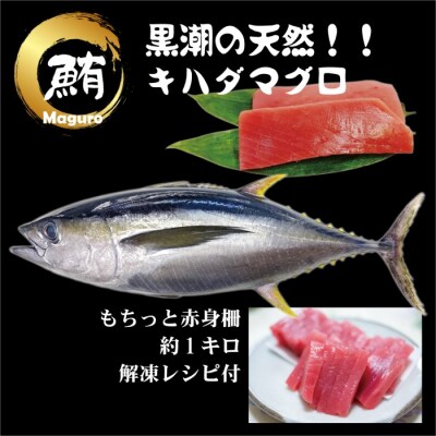 天然 キハダマグロ 赤身 柵 約1kg (2～4柵) 刺身 海鮮 簡単調理 大容量  鮮度抜群