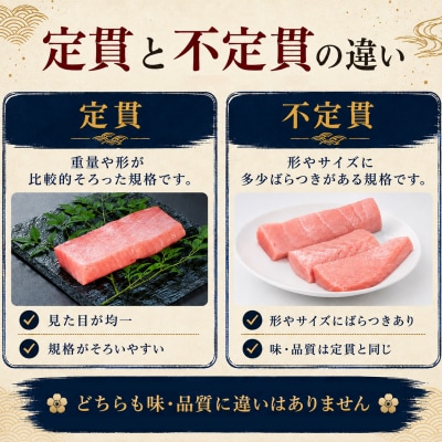 訳あり 不定貫 国産 まぐろ 本マグロ 刺身 赤身 中トロ 大トロ 3種 750g 養殖
