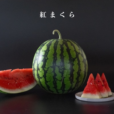 【高知県 大月町産】兼松農園のあまーい大玉スイカ 1玉