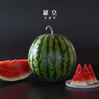 朝採れ すいか 1玉 大玉スイカ (6kg以上) 【先行予約 7月中旬頃より発送】 甘い 果物 野菜