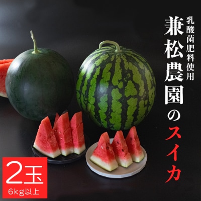 朝採れ すいか 2玉 大玉スイカ (6kg以上) 【先行予約 7月中旬頃より発送】 甘い 果物 野菜