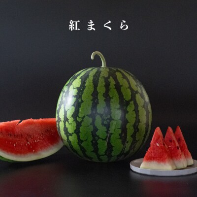 朝採れ すいか 2玉 大玉スイカ (6kg以上) 【先行予約 7月中旬頃より発送】 甘い 果物 野菜