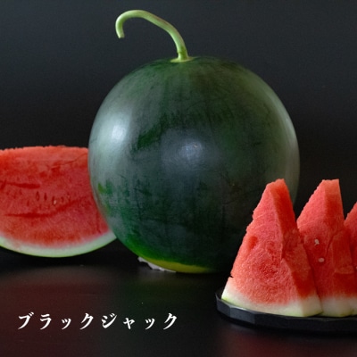 朝採れ すいか 2玉 大玉スイカ (6kg以上) 【先行予約 7月中旬頃より発送】 甘い 果物 野菜