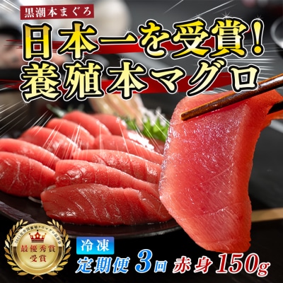 訳あり 不定貫 国産 まぐろ マグロ 本鮪 黒潮 赤身 定期便 3回 120g × 3回 刺身