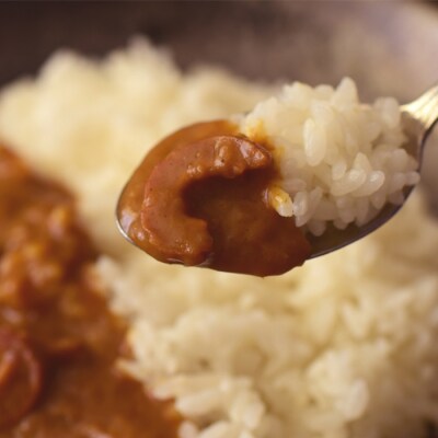  本マグロ ホルモンカレー 200g×2箱セット 本まぐろ ご当地 海鮮 魚介 レトルト カレー