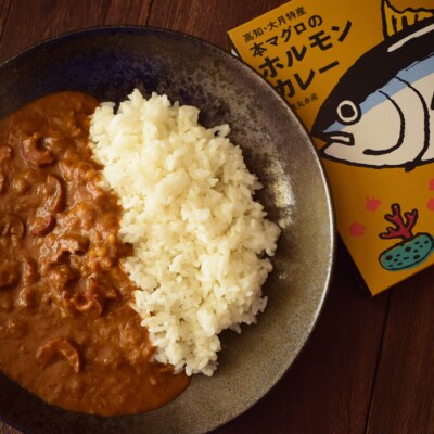  本マグロ ホルモンカレー 200g×2箱セット 本まぐろ ご当地 海鮮 魚介 レトルト カレー