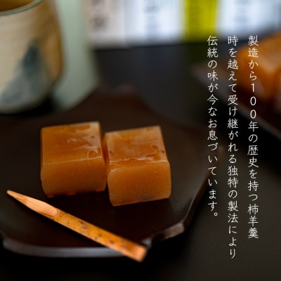 【大月の銘菓】ミニ羊羹セット(5本入×2)