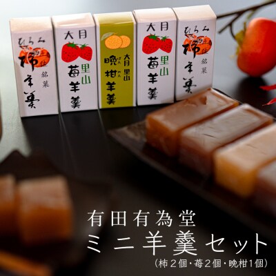 【大月の銘菓】ミニ羊羹セット(5本入)
