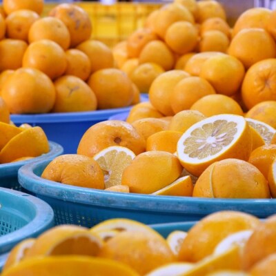 【高知県 大月町産】ばんかんぜりー 6個