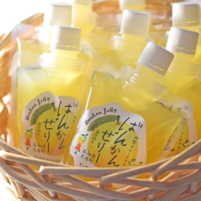 【高知県 大月町産】ばんかんぜりー 8個セット