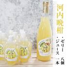 【高知県 大月町産】ばんかんじゅーす1本・ばんかんぜりー8個セット