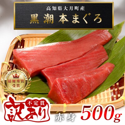 【訳あり】 本マグロ 赤身 500g不定貫　指定日発送可能