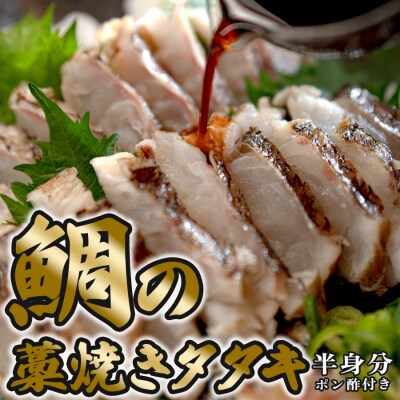 鯛の藁焼きタタキ 半身分 230g以上 真鯛 鯛 タイ 刺身 ぽん酢付 配達日指定可 高知県大月町