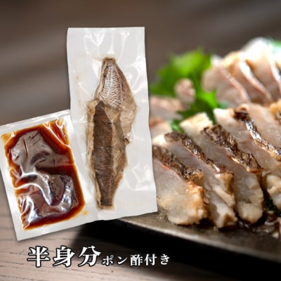 鯛の藁焼きタタキ 半身分 230g以上 真鯛 鯛 タイ 刺身 ぽん酢付 配達日指定可 高知県大月町