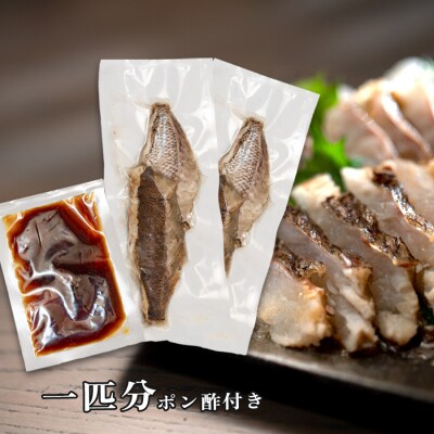 鯛の藁焼きタタキ 1匹分 460g以上 真鯛 鯛 タイ 刺身 ぽん酢付 配達日指定可 高知県大月町