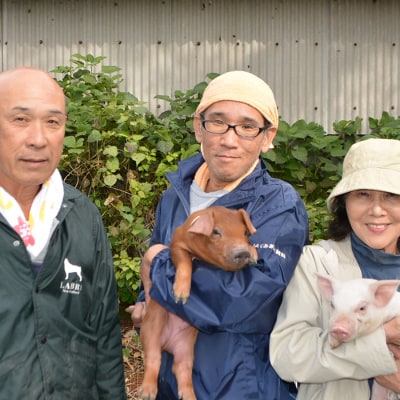 【訳アリ】国産 豚肉 豚コマ 4kg 豚こま こま切れ 切り落とし ブランド豚 大容量 家庭用