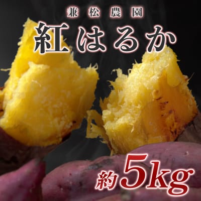 【高知県 大月町産】兼松農園　紅はるか　5kg