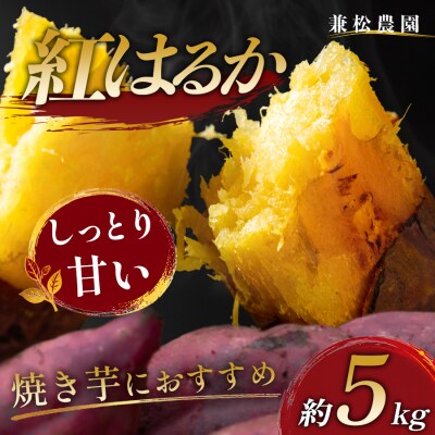 さつまいも 熟成 紅はるか 約5kg 国産 べにはるか スイーツ おやつ 栽培期間中農薬不使用