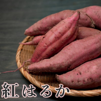 【高知県 大月町産】兼松農園　紅はるか　5kg