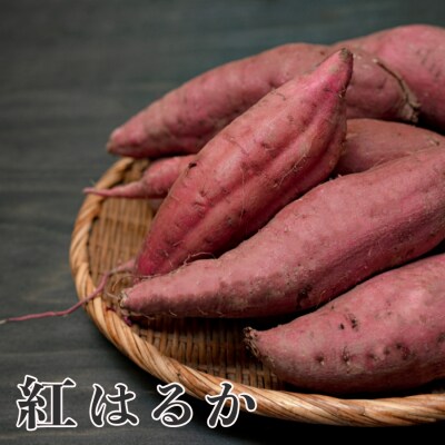さつまいも 熟成 紅はるか 約5kg 国産 べにはるか スイーツ おやつ 栽培期間中農薬不使用
