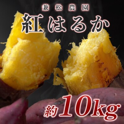 mfmf熊本県産 はるか 大玉（２Ｌ以上）10キロ mfmf熊本県産 はるか 大玉（2L以上）10キロ 楽天市場】熊本県