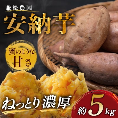 さつまいも 熟成 安納芋 約5kg 国産 安納いも スイーツ おやつ 栽培期間中農薬不使用 高知県
