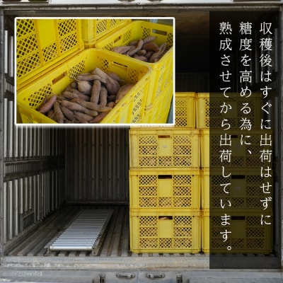 【高知県 大月町産】兼松農園　安納芋　5kg