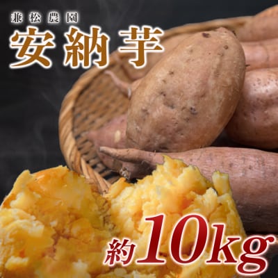 【高知県 大月町産】兼松農園　安納芋　10kg