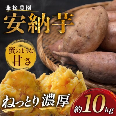 さつまいも 熟成 安納芋 約10kg 国産 安納いも スイーツ おやつ 栽培期間中農薬不使用 高知県