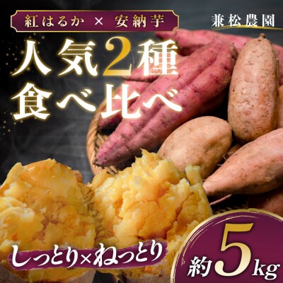 さつまいも 食べ比べ 約5kg 紅はるか 安納芋 各約2.5kg 熟成 焼き芋 しっとり ねっとり