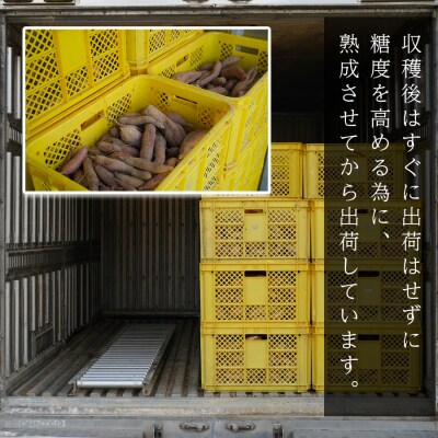 【高知県 大月町産】兼松農園　さつま芋の食べ比べセット　5kg