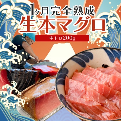 熟成 生 本マグロ 中トロ 200g 冷蔵 刺身用 国産 高知県産 養殖 高級 海鮮 お正月用