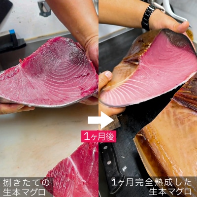 熟成 生 本マグロ 中トロ 200g 冷蔵 刺身用 国産 高知県産 養殖 高級 海鮮 お正月用
