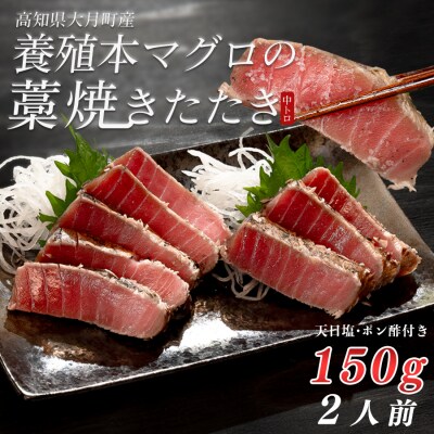 本マグロ 中トロ 藁焼き たたき150g 黒潮本まぐろ 本マグロ まぐろ マグロ 冷凍 田野屋銀象
