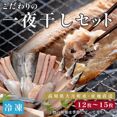 一夜干しセット 12枚〜15枚 天日塩 無添加 干物 詰め合わせ 冷凍便  海鮮セット 焼くだけ簡単