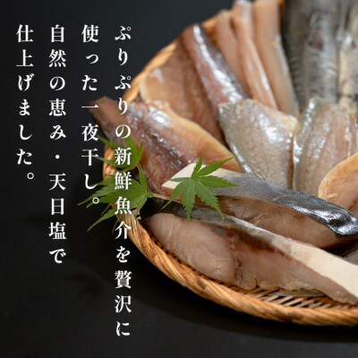 一夜干しセット 12枚〜15枚 天日塩 無添加 干物 詰め合わせ 冷凍便  海鮮セット 焼くだけ簡単