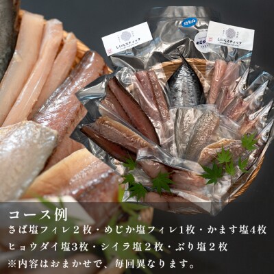 一夜干しセット 12枚〜15枚 天日塩 無添加 干物 詰め合わせ 冷凍便  海鮮セット 焼くだけ簡単