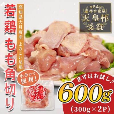 国産 鶏もも角切り 600g (300g×2P) 唐揚げ用 小分け 冷凍 時短 弁当 高知県大月町