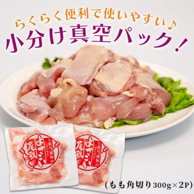 国産 鶏もも角切り 600g (300g×2P) 唐揚げ用 小分け 冷凍 時短 弁当 高知県大月町