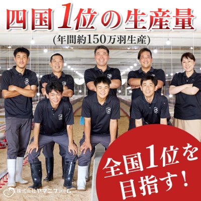 高知県産若鶏 むね肉690g ブランド鶏 よさこい尾鶏
