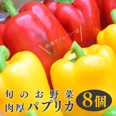 【高知県 大月町産】田村農園の肉厚パプリカ　8個 | ふるさと納税のお礼品