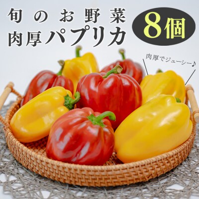 肉厚 パプリカ 8個 彩り野菜 甘い 赤パプリカ 黄パプリカ ピクルス マリネ サラダ
