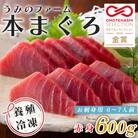 【高知県 大月町産】うみのファーム　お刺身用本まぐろ赤身600g