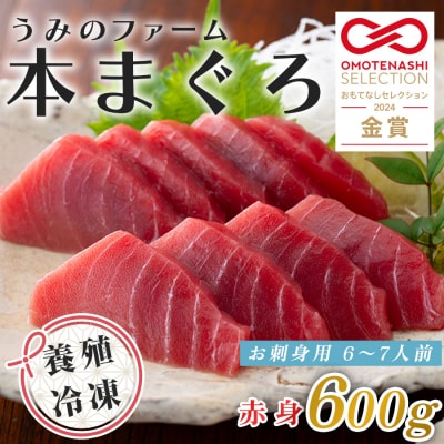 国産 養殖本マグロ 赤身600g 刺身用 冷凍 柵 ギフト 贈答 産地直送 海鮮丼 寿司 御歳暮