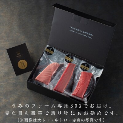 国産 養殖本マグロ 赤身300g 刺身用 冷凍 柵 ギフト 贈答 産地直送 海鮮丼 寿司 御歳暮