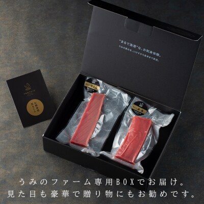 国産 養殖本マグロ2種盛 中トロ 赤身 400g 刺身用 冷凍 柵 ギフト 贈答 産地直送 丼 寿司
