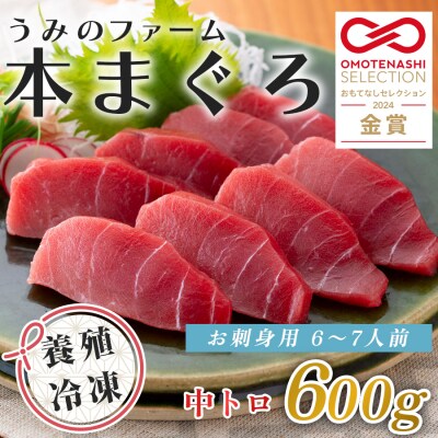 国産 養殖本マグロ 中トロ600g 刺身用 冷凍 柵 ギフト 贈答 産地直送 海鮮丼 寿司 御歳暮